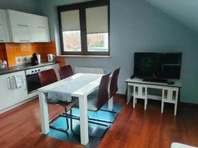 A comfortable apartment midway Kraków-Oświęcim Chrzanów